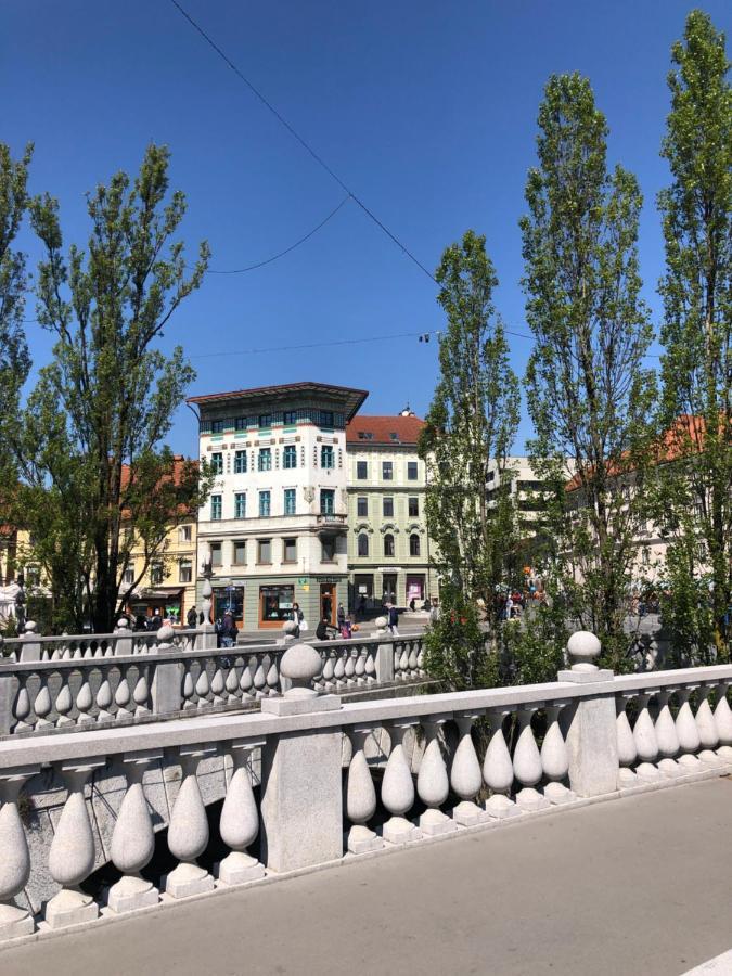 Triple Bridge Ljubljana Apartment Bagian luar foto