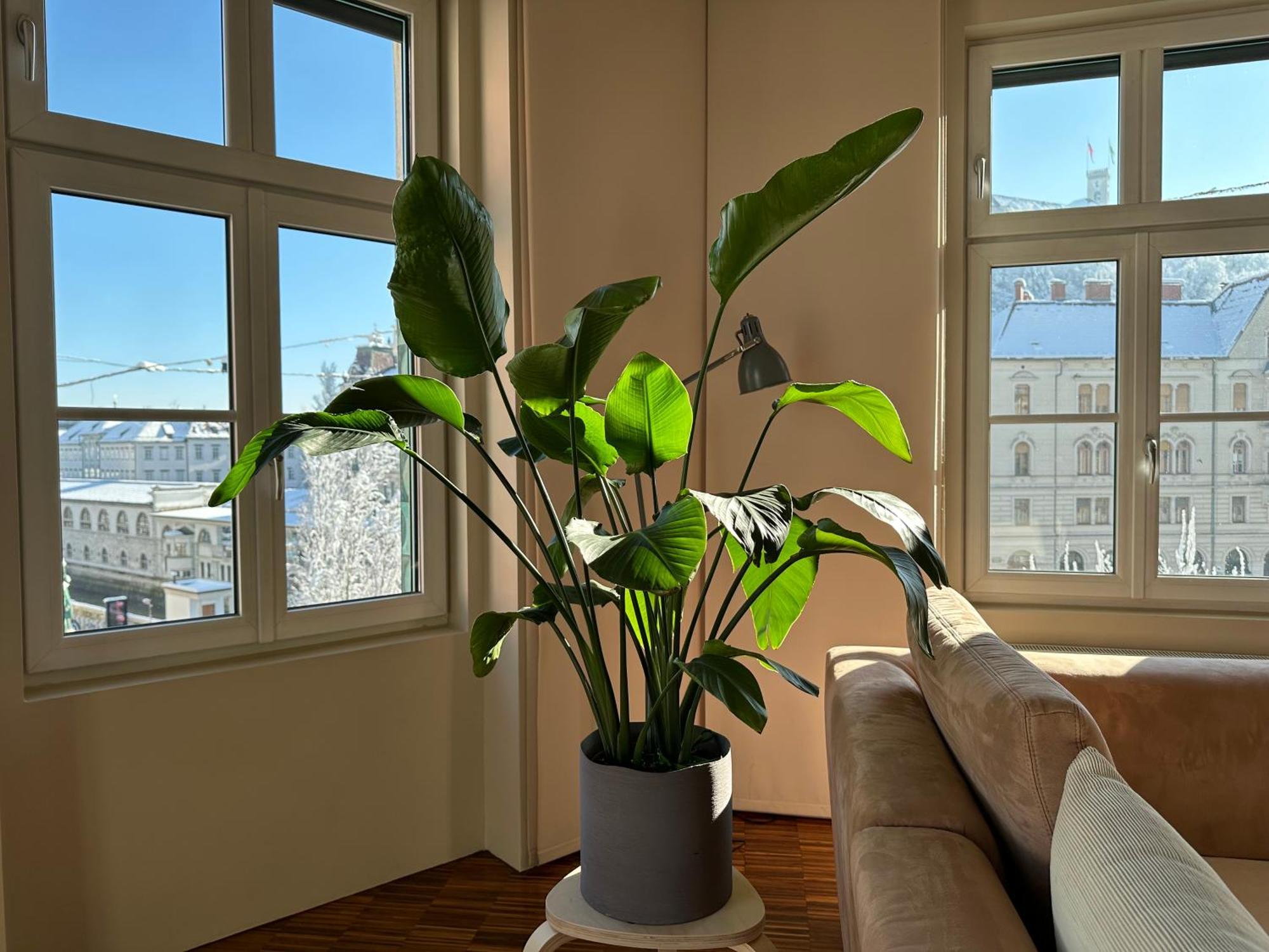 Triple Bridge Ljubljana Apartment Bagian luar foto